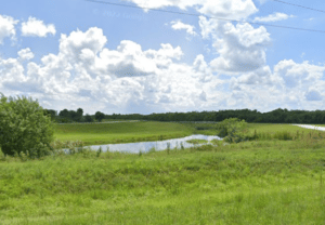 Fort Drum Marsh Conservation Area FL